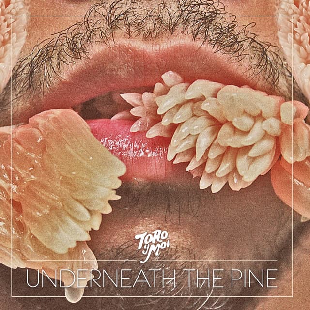 Album cover art for Underneath the Pine