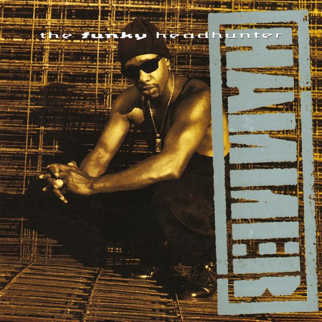 Album cover art for The Funky Headhunter