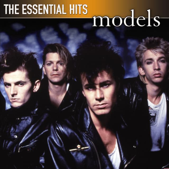 Album cover art for The Essential Hits