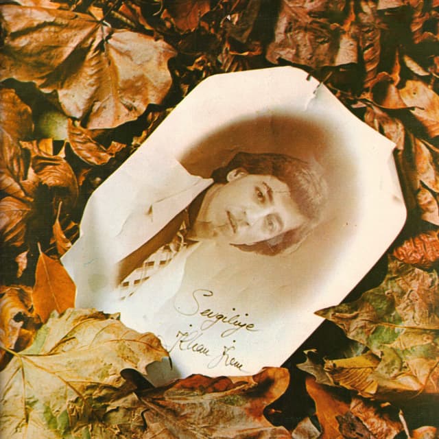 Album cover art for Sevgiliye