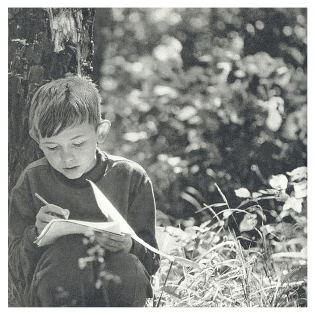 Album cover art for Alps