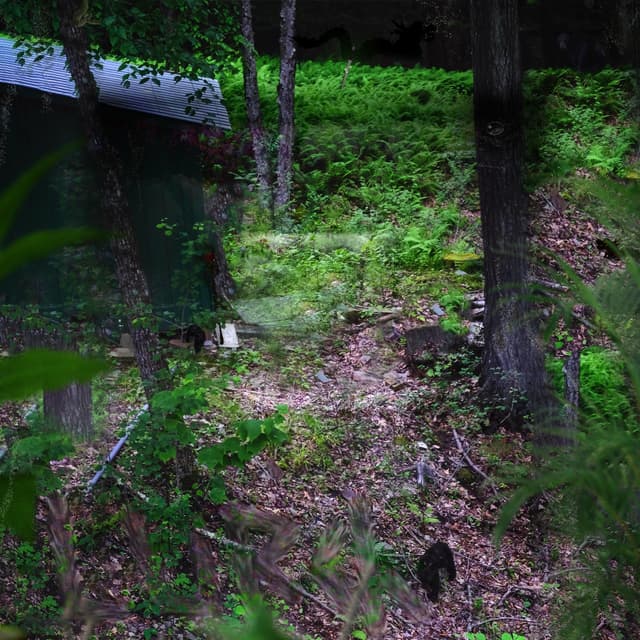 Album cover art for 𝓑❹т𝐇𝒆lù𝓡𝓒ʰ