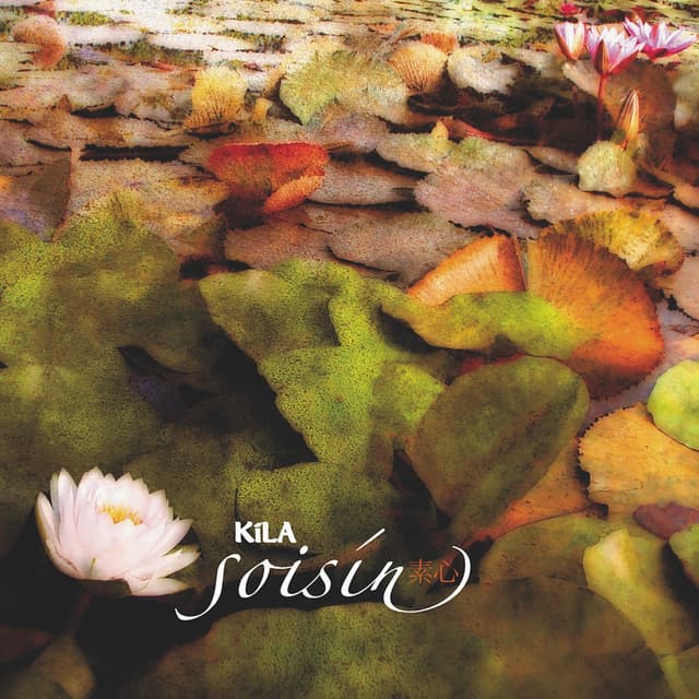 Album cover art for Soisín