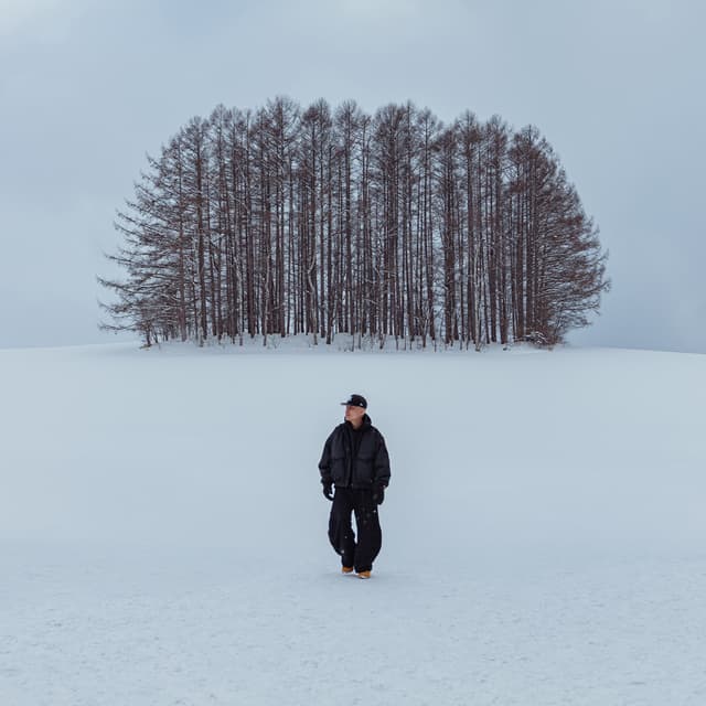 Album cover art for 合照