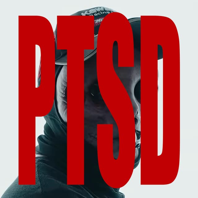 Album cover art for PTSD