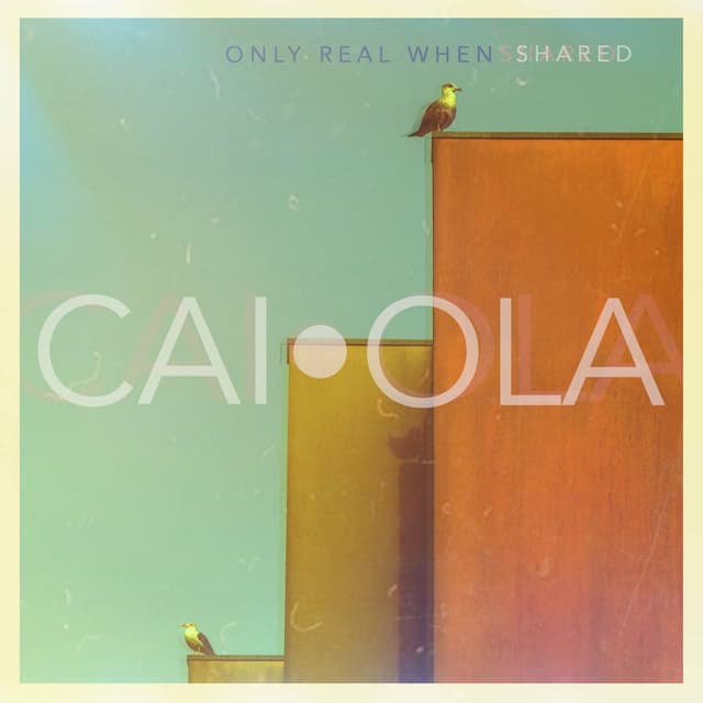Album cover art for Only Real When Shared