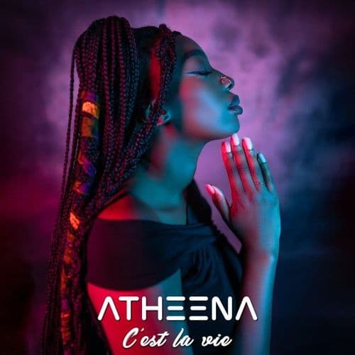 Album cover art for C'est la vie