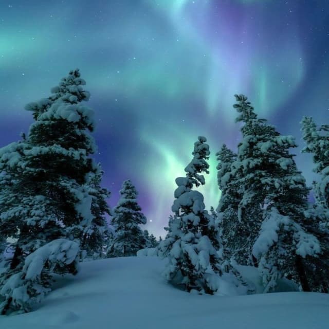 Album cover art for Manasha