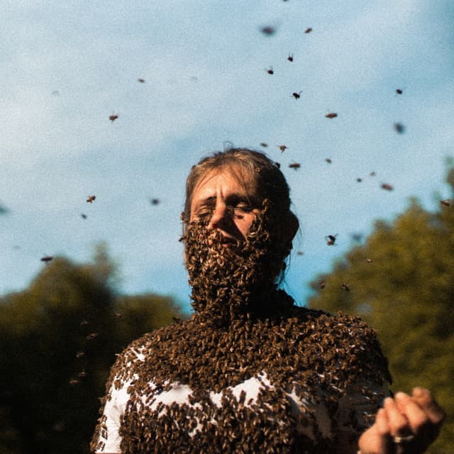 Album cover art for the flower