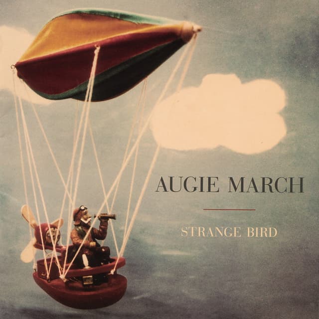 Album cover art for Strange Bird