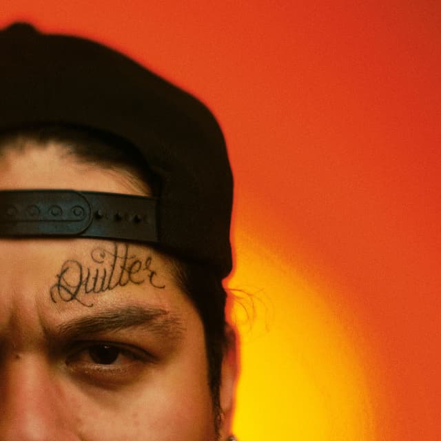 Album cover art for Quitter
