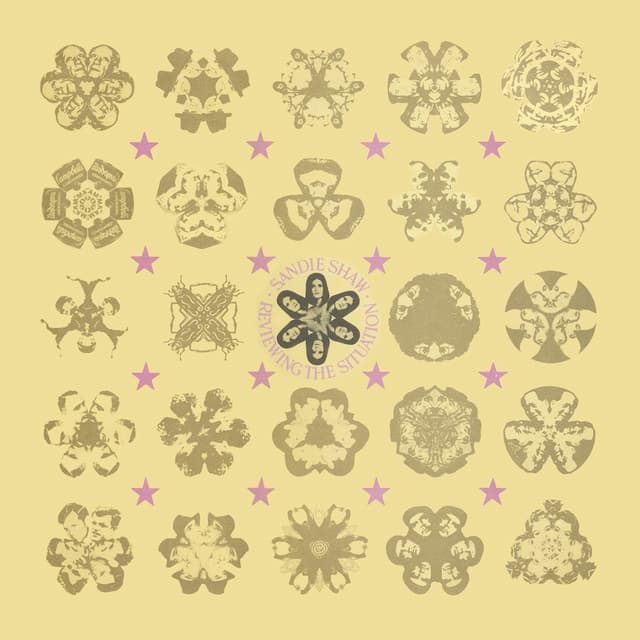 Album cover art for Reviewing The Situation