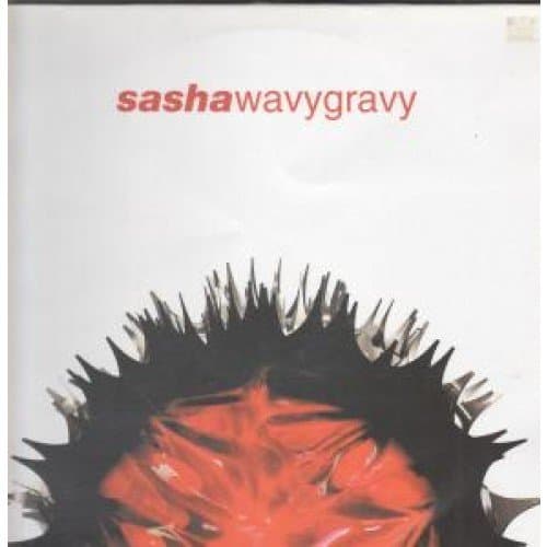 Album cover art for Wavy Gravy