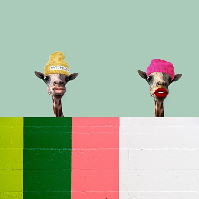 Album cover art for Casual Bungalow