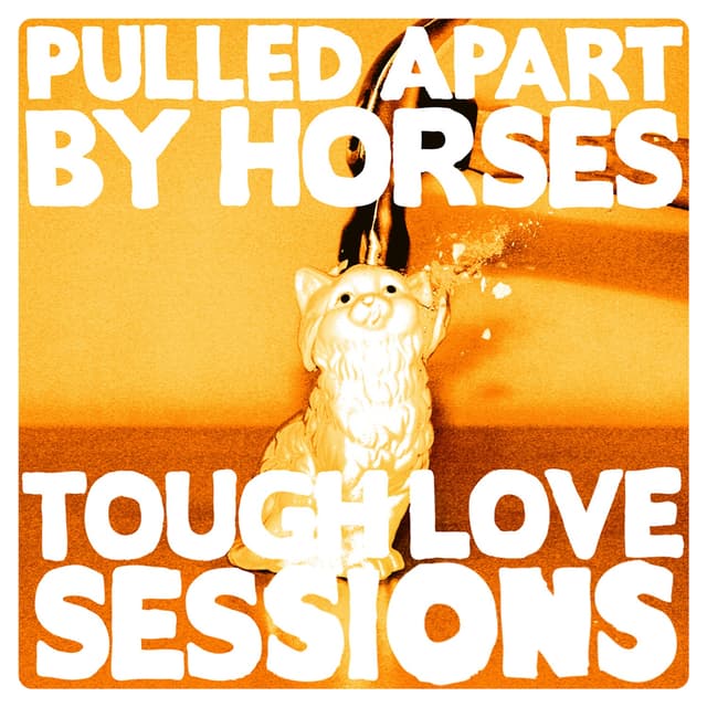 Album cover art for The Tough Love Sessions
