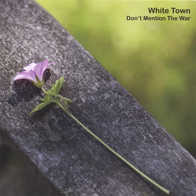 Album cover art for Don't Mention the War
