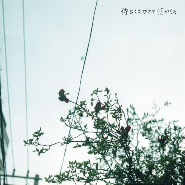 Album cover art for Machikutabirete Asagakuru