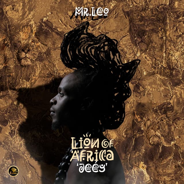Album cover art for Lion of Africa (Jeey)