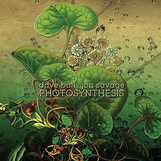 Album cover art for Photosynthesis