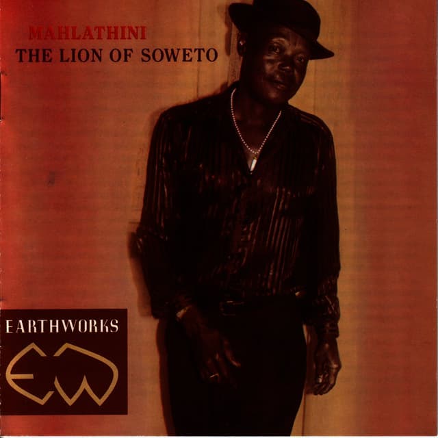 Album cover art for The Lion Of Soweto