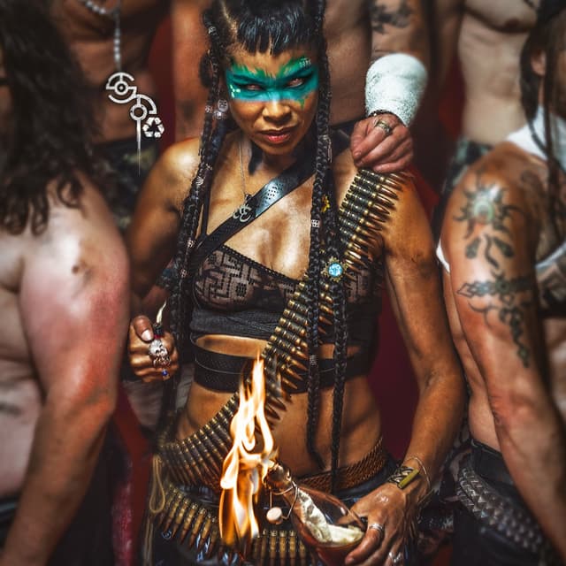 Album cover art for Shaka Ponk (Deluxe)
