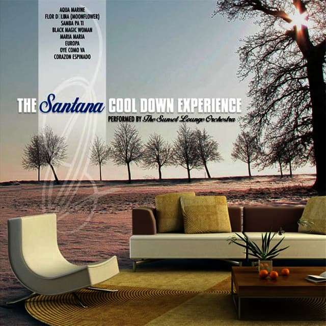 Album cover art for The Santana Cool Down Experience