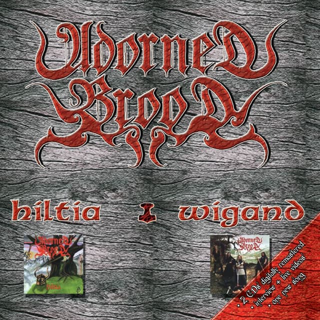 Album cover art for Re-Release: Hiltia & Wigand