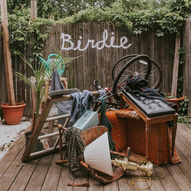 Album cover art for Birdie