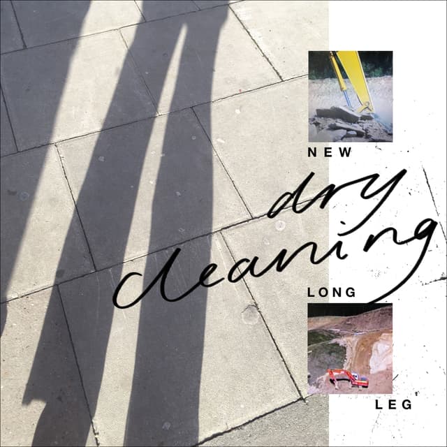 Album cover art for New Long Leg