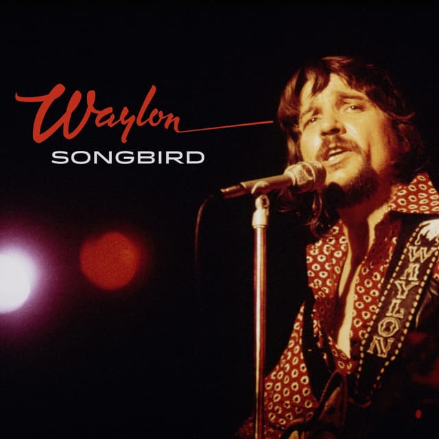 Album cover art for Songbird