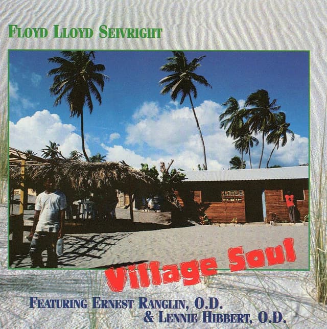 Album cover art for Village Soul