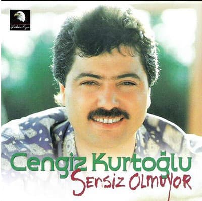 Album cover art for Sensiz Olmuyor
