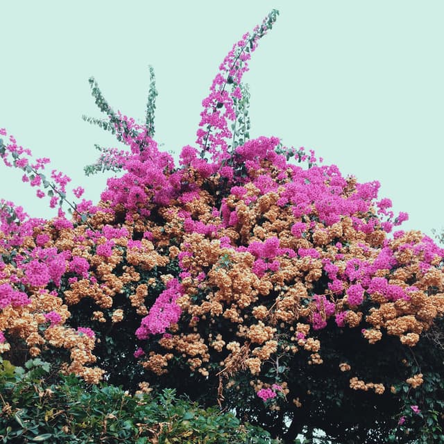 Album cover art for Turn Into