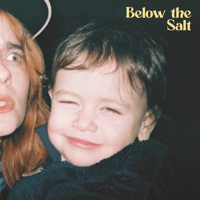 Album cover art for Below the Salt