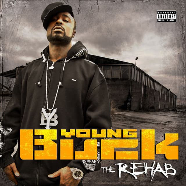Album cover art for The Rehab