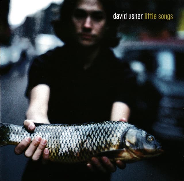 Album cover art for Little Songs
