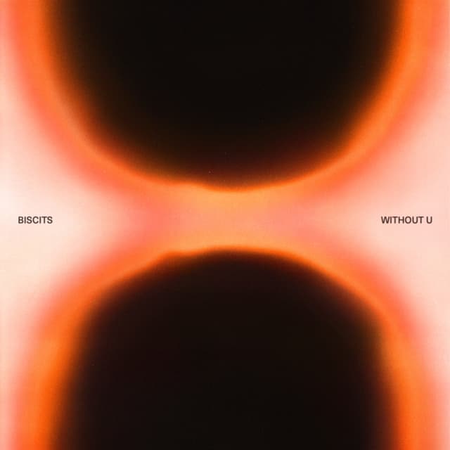 Album cover art for Without U