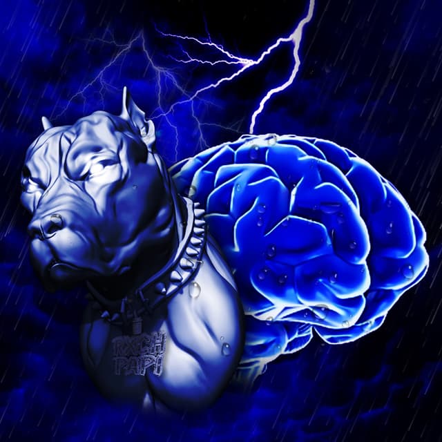 Album cover art for Dawg Storm