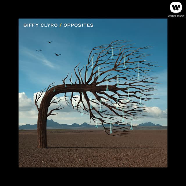 Album cover art for Opposites