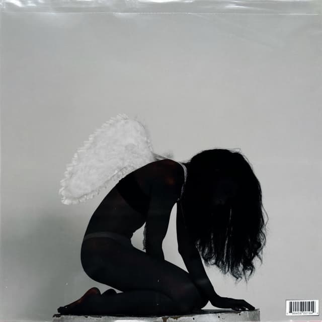 Album cover art for Lost Angels