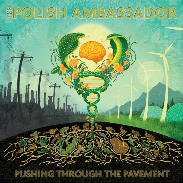 Album cover art for Pushing Through The Pavement