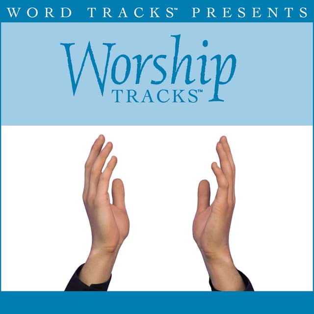 Album cover art for Worship Tracks - Song To The King - as made popular by Pocket Full Of Rocks [Performance Track]