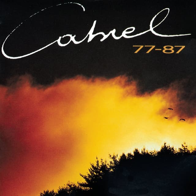 Album cover art for 77-87
