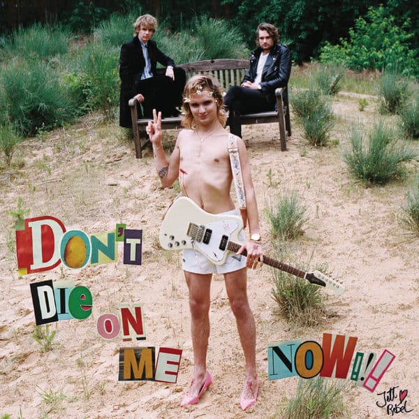 Album cover art for Don't Die on Me Now