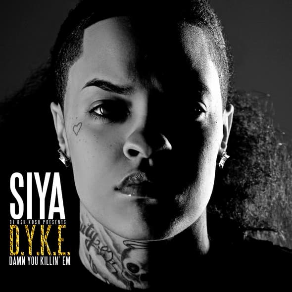 Album cover art for D.Y.K.E. - Damn You Killin' Em