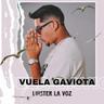 Vuela Gaviota