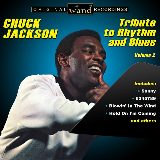 Album cover art for Tribute to Rhythm and Blues - Volume 2