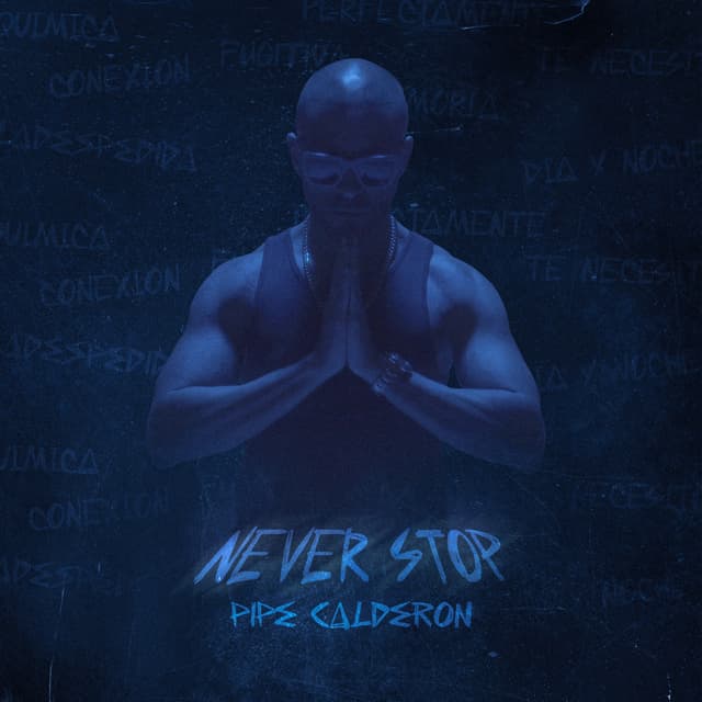 Album cover art for Never Stop