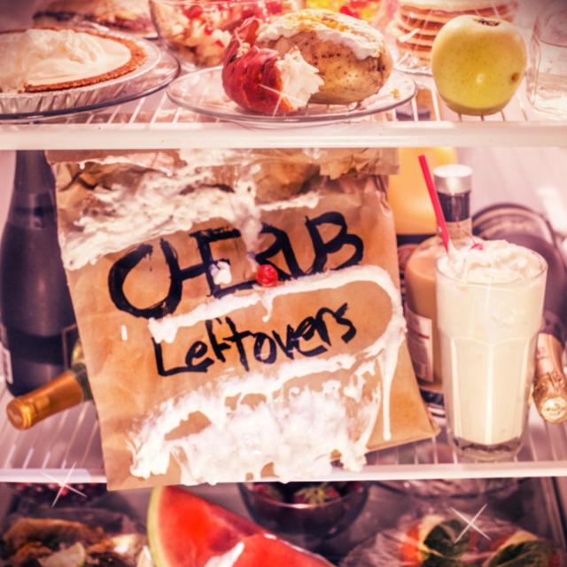 Album cover art for Leftovers