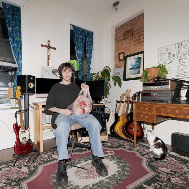 Album cover art for Piggy